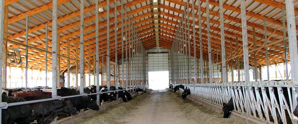 Dairy & Livestock - Cleary Building Corp.